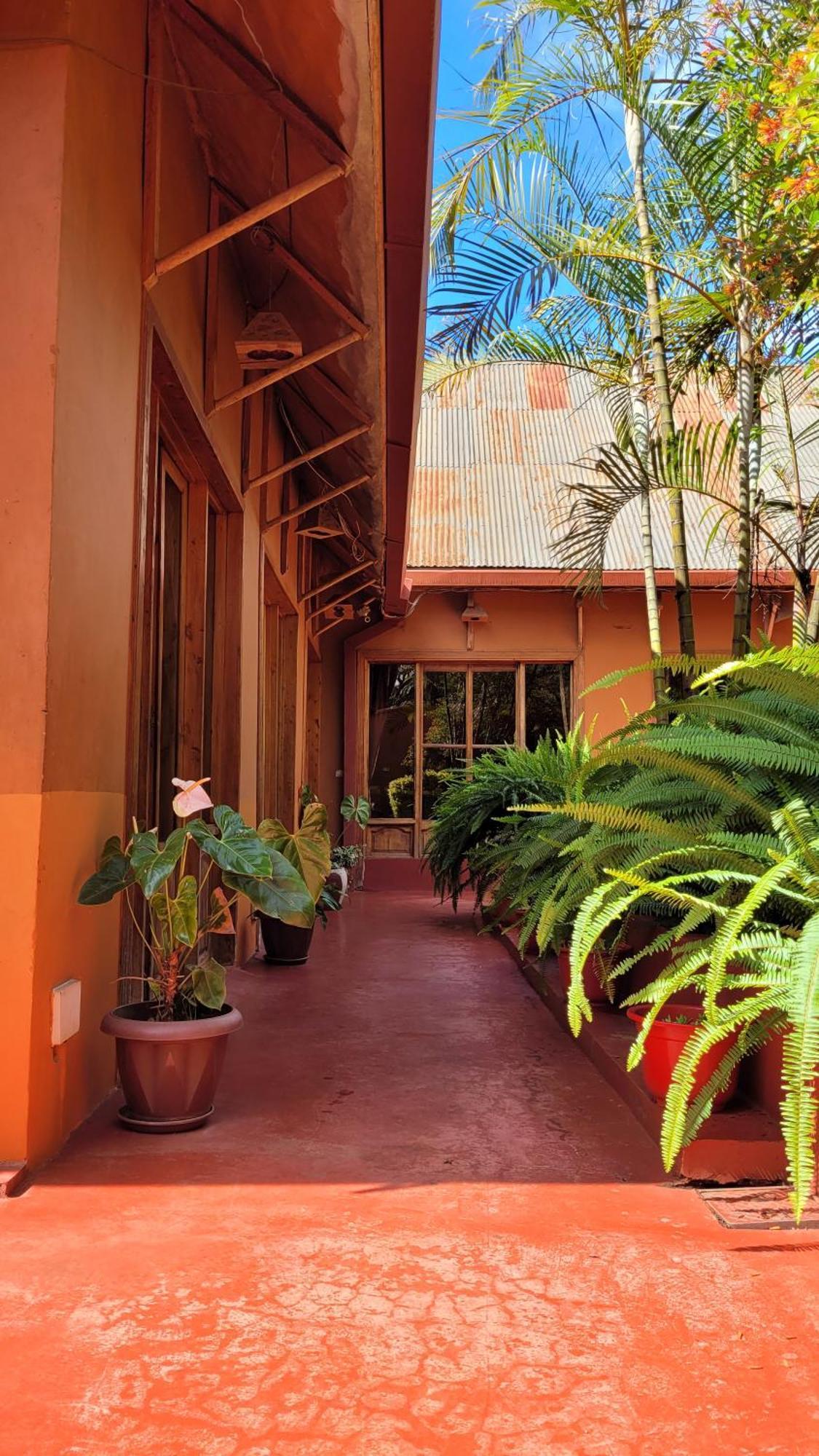 Babylon Lodge Marangu Exterior foto